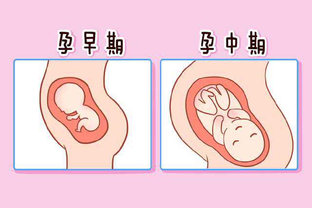 2024年上海集爱能否做供卵三代试管婴儿？
