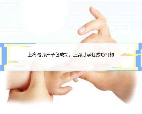 上海借腹产子包成功，上海助孕包成功机构
