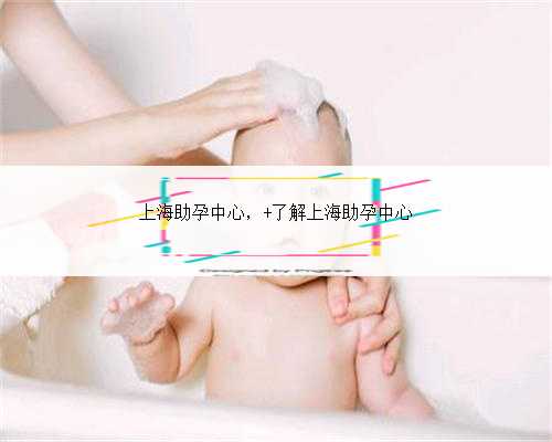 上海助孕中心， 了解上海助孕中心