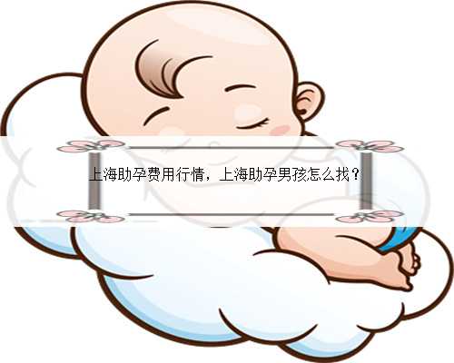 上海助孕费用行情，上海助孕男孩怎么找？