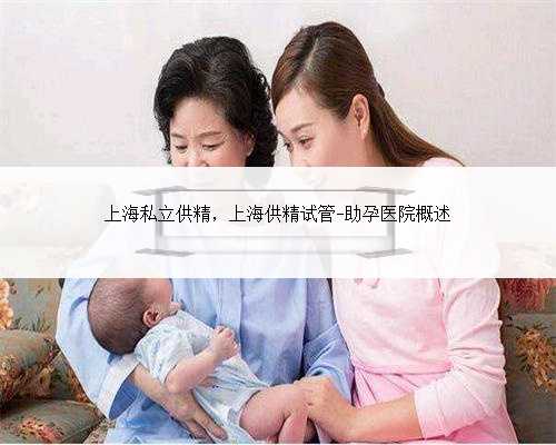 上海私立供精，上海供精试管-助孕医院概述