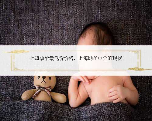 上海助孕最低价价格，上海助孕中介的现状