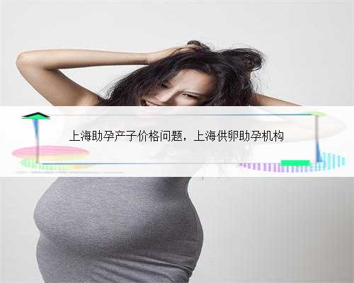 上海助孕产子价格问题，上海供卵助孕机构