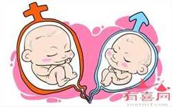 上海男人单身可以做试管婴儿吗，上海做试管婴儿需要做好哪些准备?